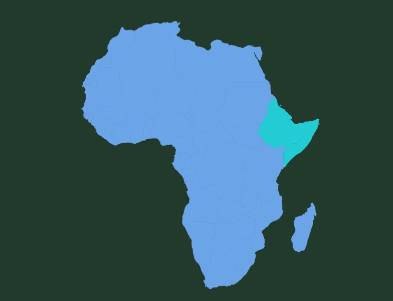 Representation of the Horn of Africa