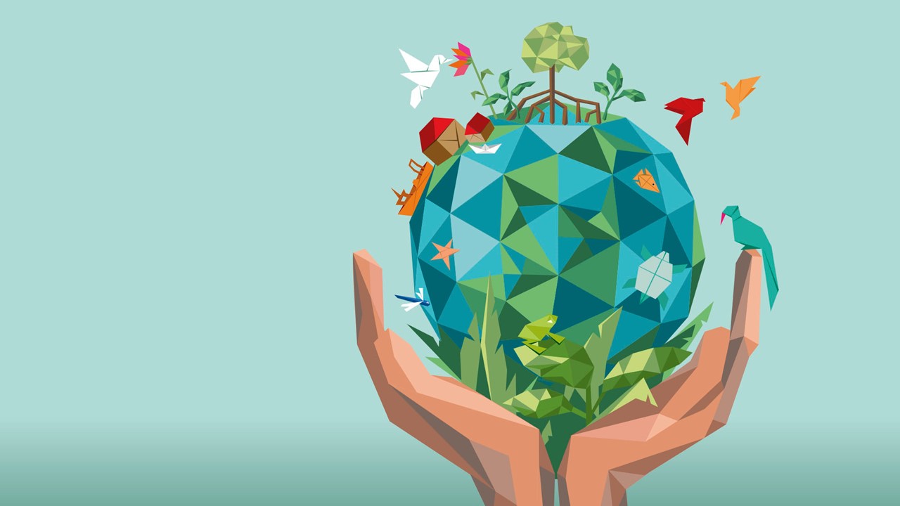 Illustration on Wetlands from UN